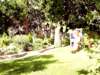 Jasmine Hotel Apts 